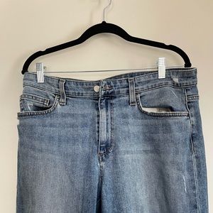 Joe’s Blue Jeans|Size 31